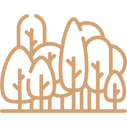 Fully Grown Trees Icon